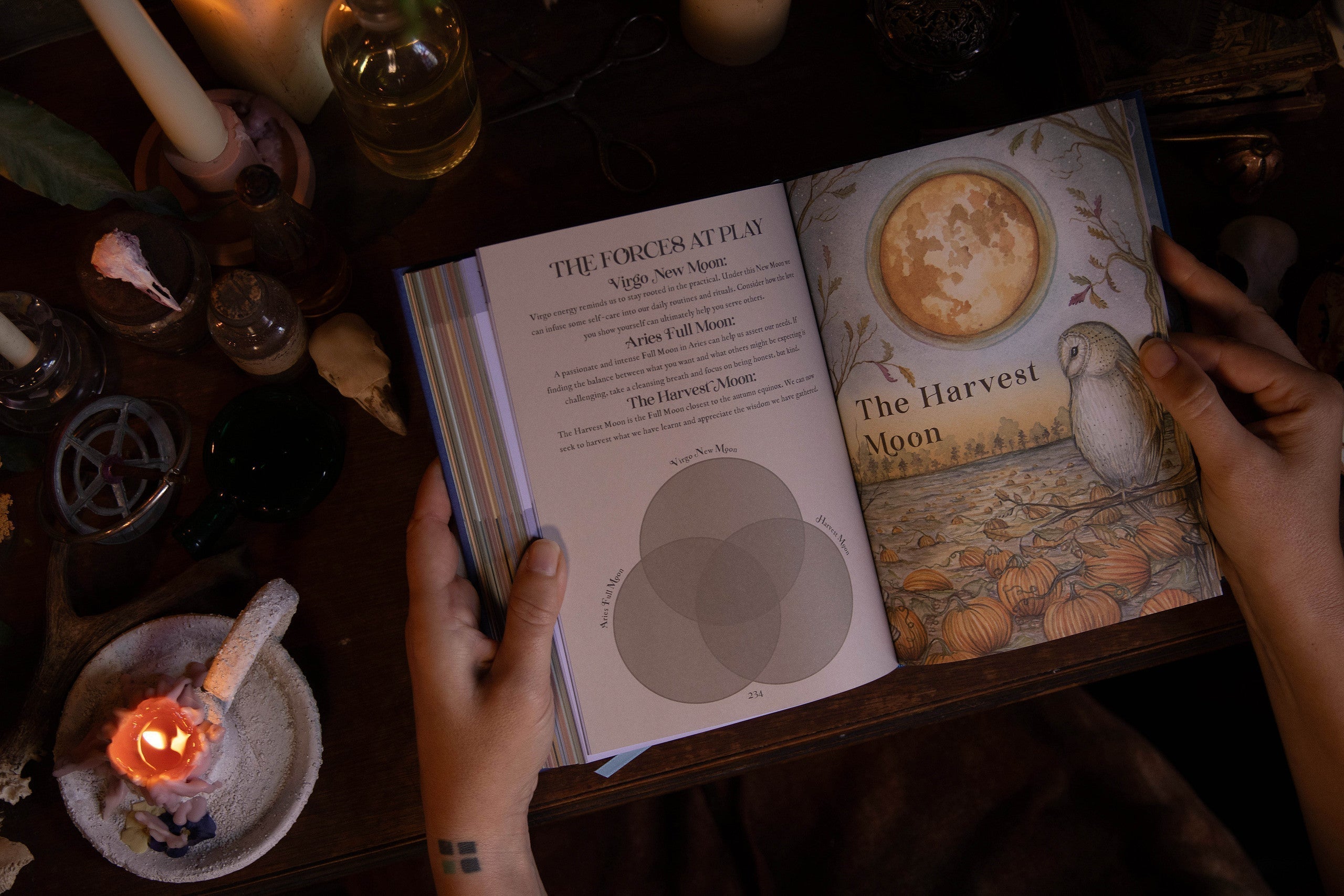 Embracing the practical magic of Virgo - How to ground yourself with September’s New Moon