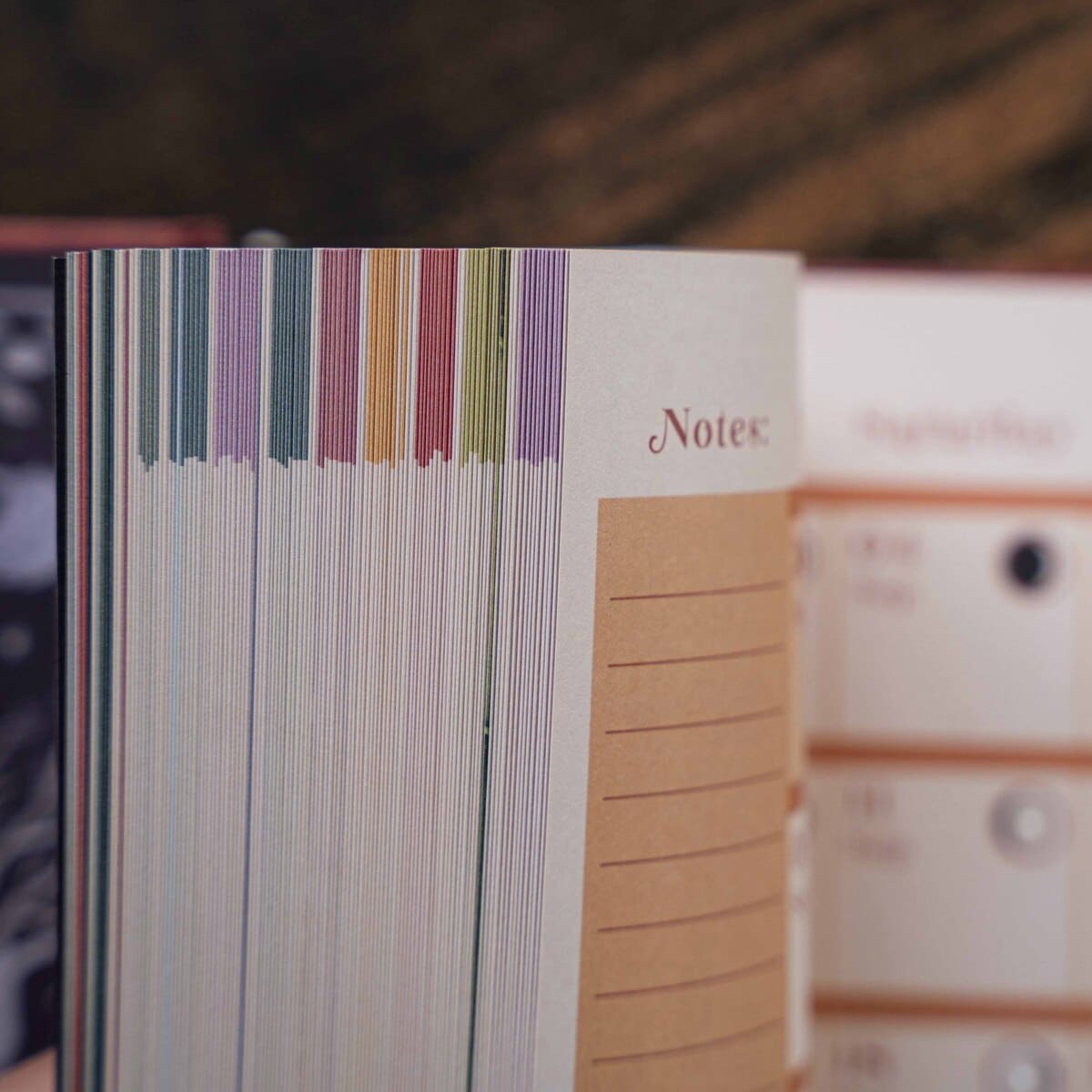 2027 | 13 Moon Journal