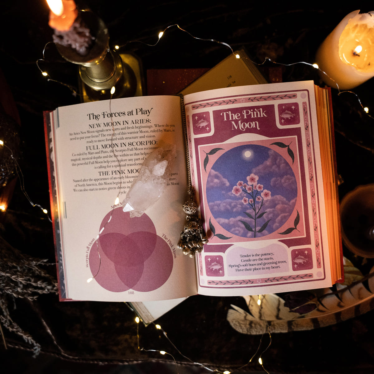 2027 | Signature Set | 13 Moon Journal