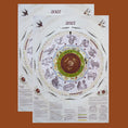 Load image into Gallery viewer, 2027 | Large Moon Calendar
