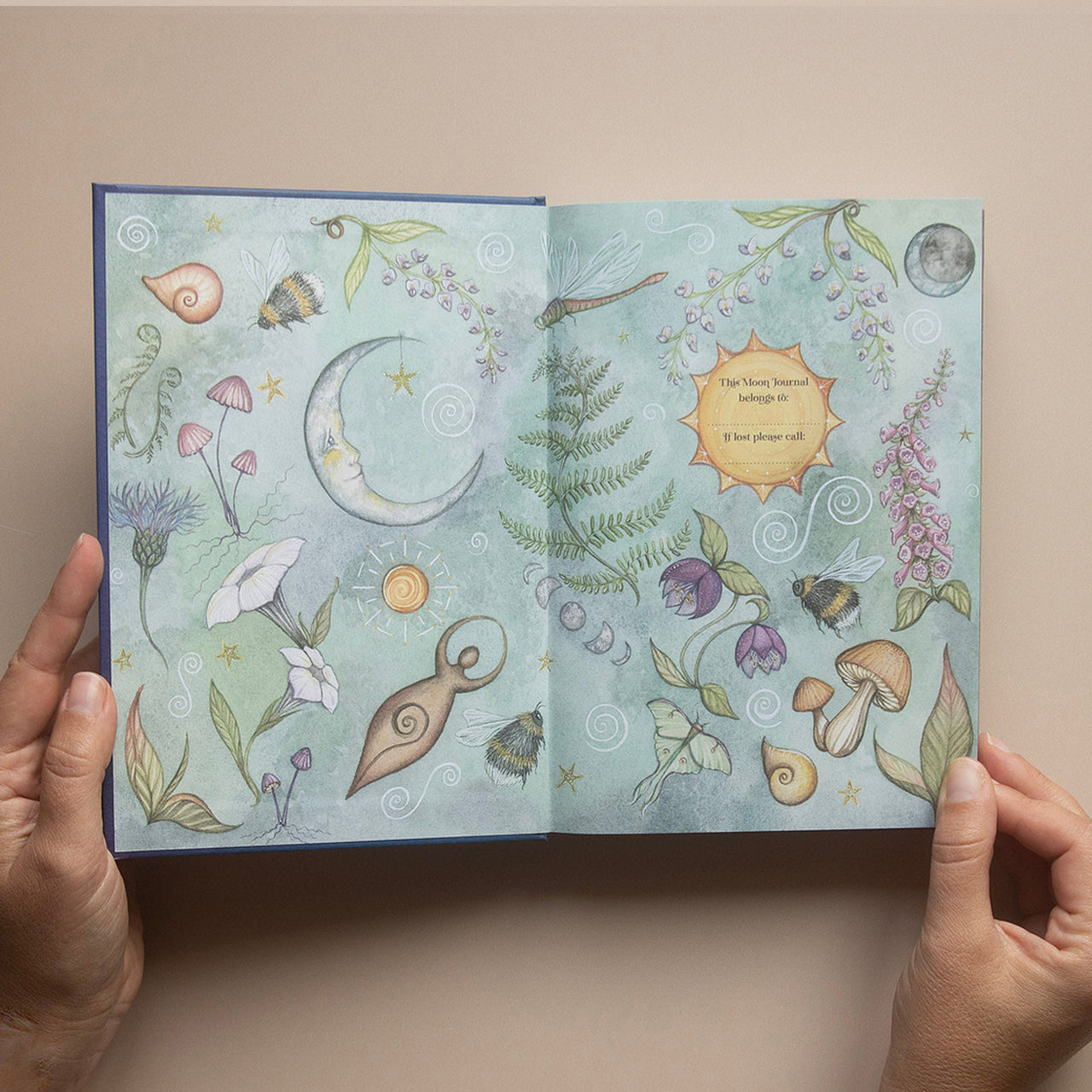 2026 | Complete Moon Collection