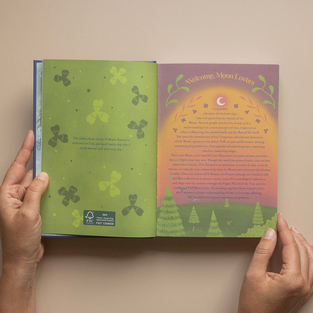 2026 | Complete Moon Collection