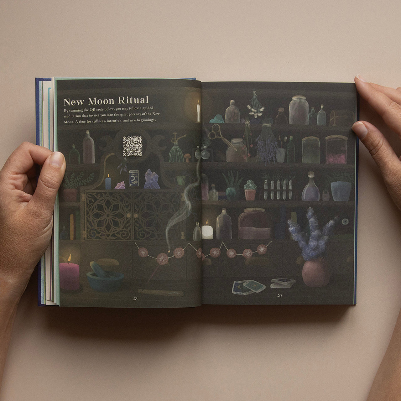 2026 | Signature Set