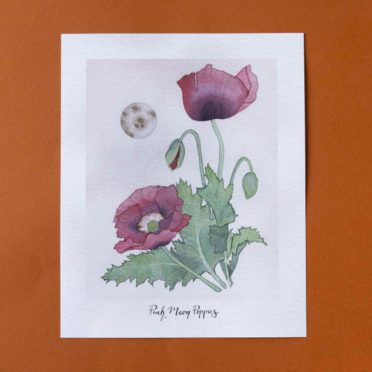 Pink Moon Poppies