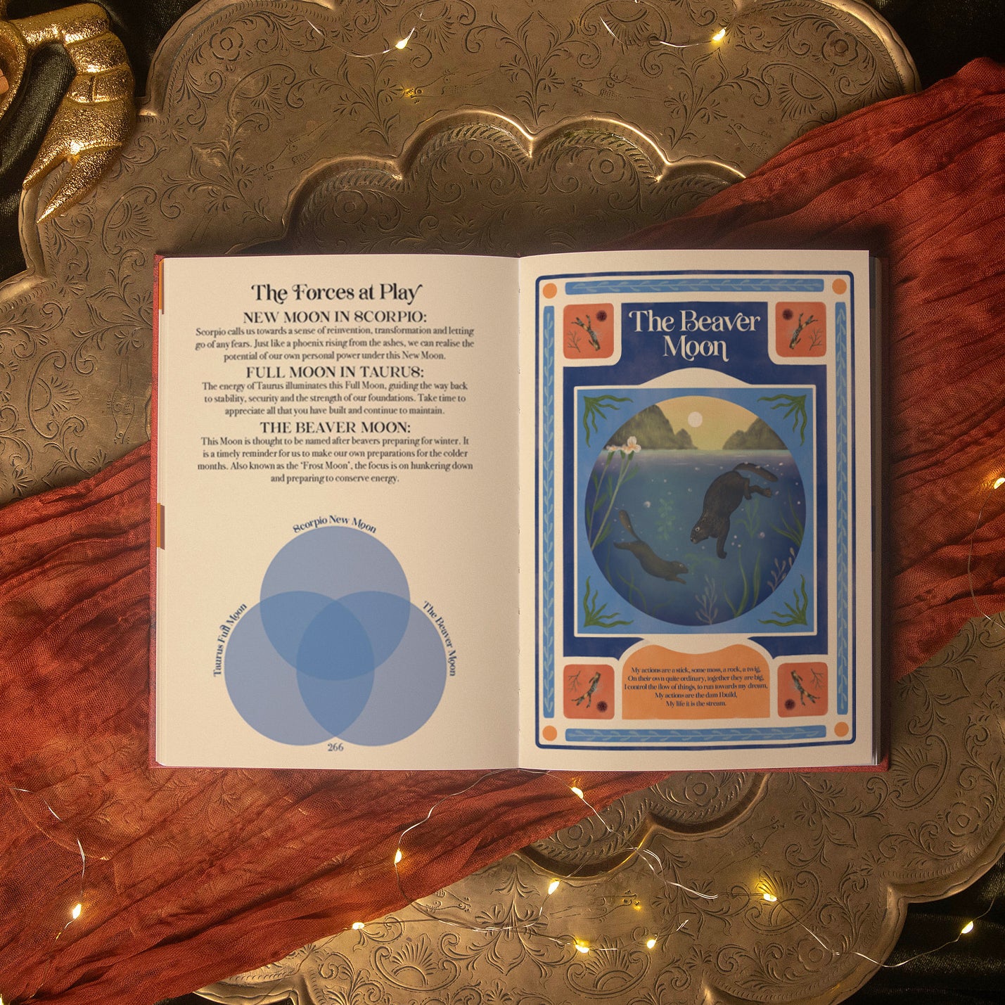 An open book spread laid on a metallic tray with draped red fabric and warm string lights. The left page has text titled 'The Forces at Play' with a blue Venn diagram, and the right page has a titled illustration panel reading 'The Beaver Moon.