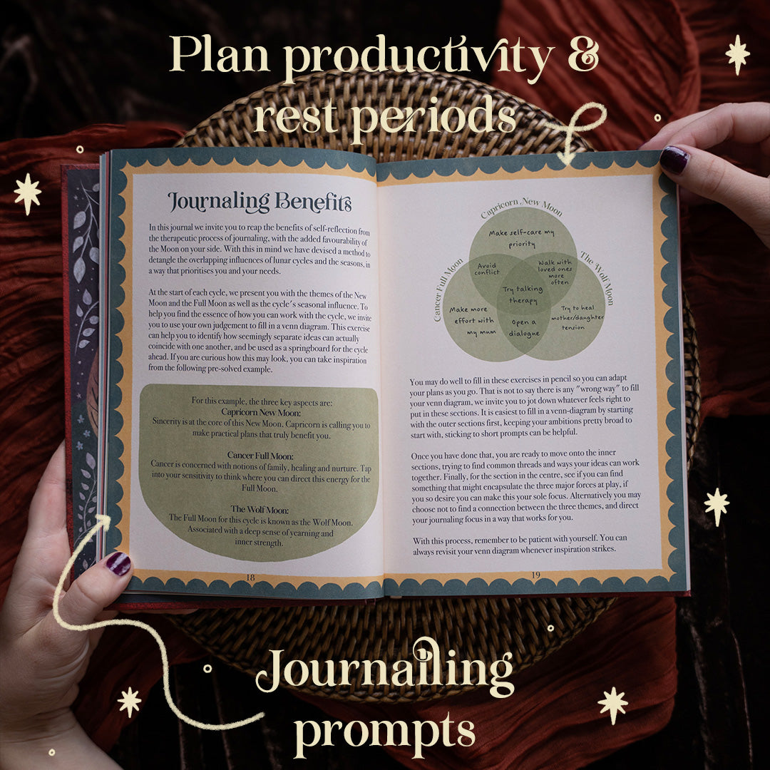2027 | 13 Moon Journal