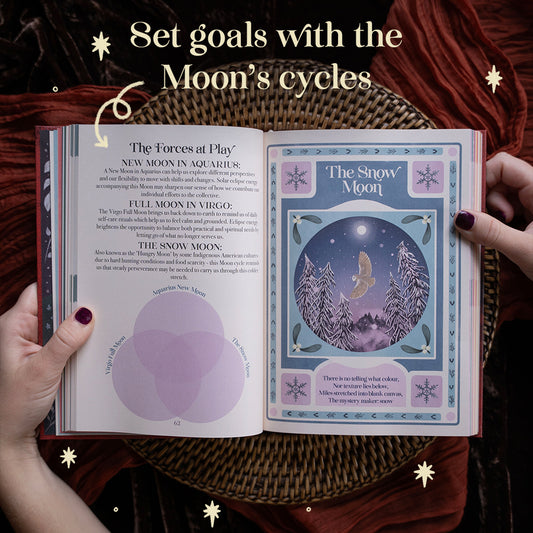 2027 | 13 Moon Journal