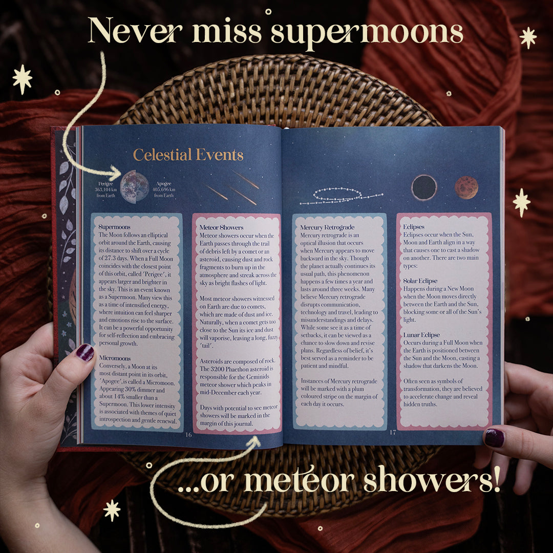2027 | 13 Moon Journal