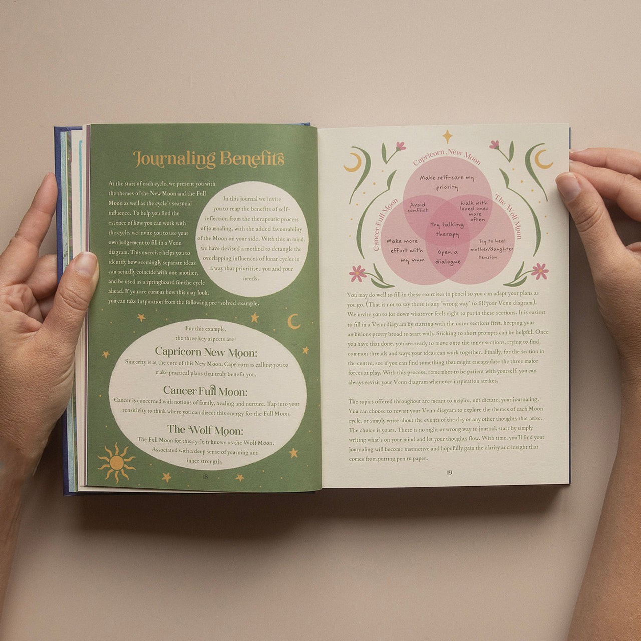 2026 | Complete Moon Collection